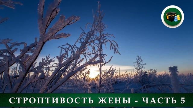Положения, связанные со строптивой женой - Часть 5 смотреть онлайн