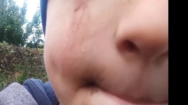 ОСЕННИЙ САД ВМЕСТЕ с ТОМОМ и АЛЬФОЙ 🍂🍁🏵️ 2 ЧАСТЬ. 6 ОКТЯБРЯ. смотреть онлайн