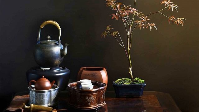 Лучший чай из китая Купить хороший зеленый чай смотреть онлайн