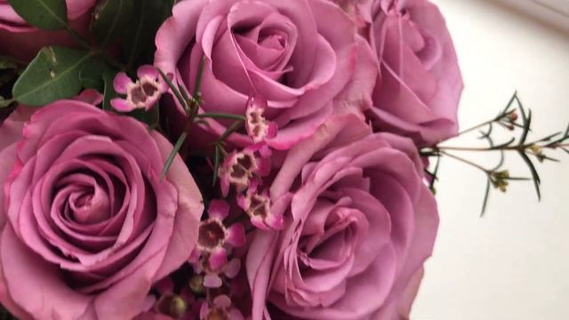 Сиреневые розы в шляпной коробке смотреть онлайн