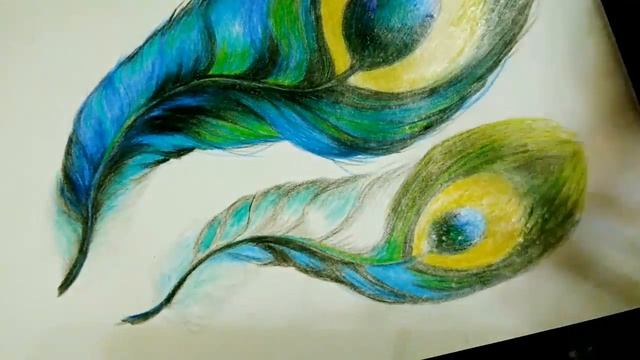 Рисую перо павлина карандашами / Drawing a peacock feather смотреть онлайн