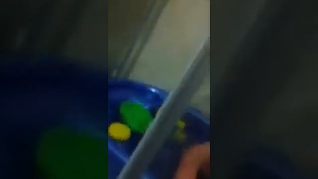 Илайчик в душе смотреть онлайн