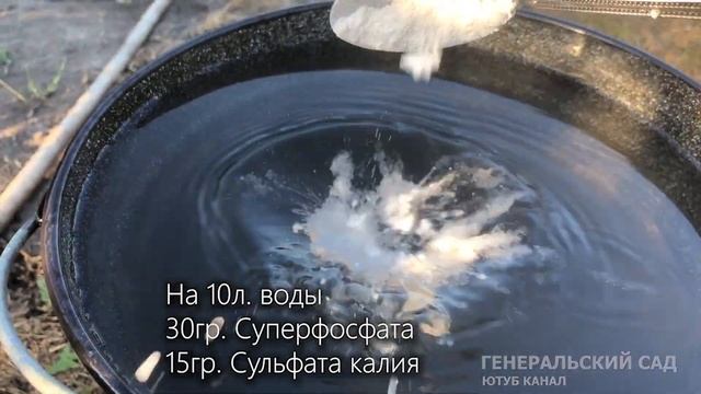 Дайте это малине в Августе и будете собирать вкусную ягоду ведрами! смотреть онлайн