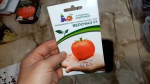 Томат "ВЕРОЧКА F1". Посев на РАССАДУ. часть1.  15.02.2020г.