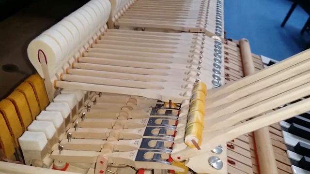 Comparison between two 1930s Bluthner style IV baby grand pianos смотреть онлайн