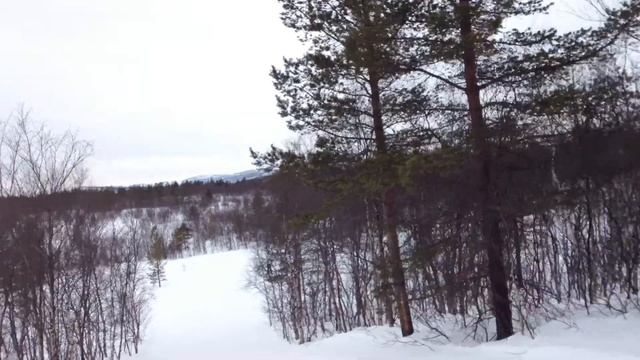на трассе Мурманского марафона смотреть онлайн