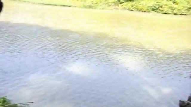 Рыбалка во Вьетнаме! Поймали ПИРАНЬЮ! 2015г. смотреть онлайн