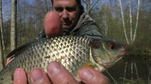 ПОЧЕМУ ПЛОТВА В МАЕ ШЕРШАВАЯ. ПОЙМАЛ ТАКУЮ И УДИВИЛСЯ