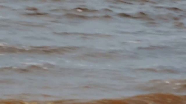 РЫБАЛКА на СЕВЕРЕ!. Моя командировка на север" Салехард " р. Обь смотреть онлайн