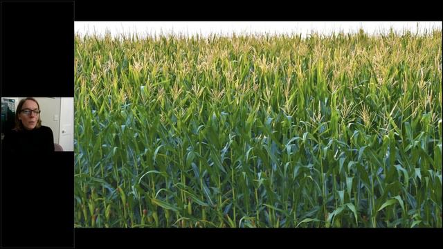 Folens Geography Webinar for Primary Teachers with Dr Susan Pike смотреть онлайн