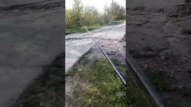 Еду на рыбалку Запорожье 19 апреля 2019 г. Тепличное.Стоит ли ехать? смотреть онлайн