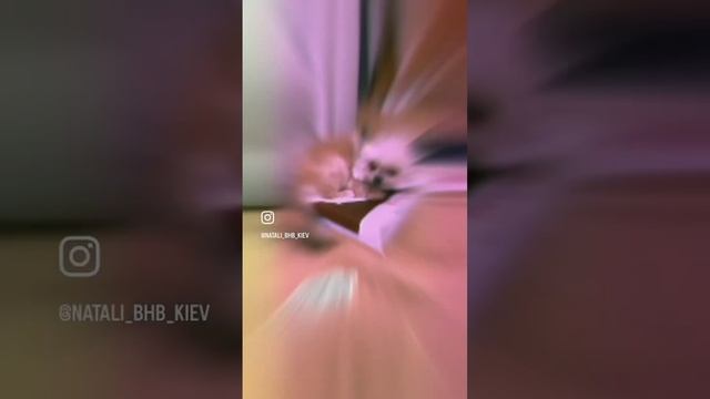Как быстро выучить французский язык во сне ? смотреть онлайн