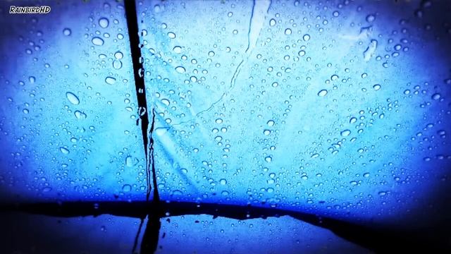 90 Minutes - Rain And Thunder Sounds On A Tent - Rainfall And Thunderstorm HD