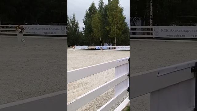Первые соревнования Малькова Настя и пони Лучик. Судьи отняли хлыстик(((( Не плакать!!!! смотреть онлайн