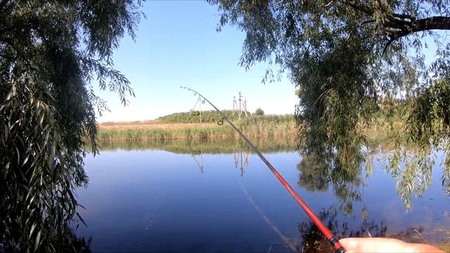 ПРОВОДКА НА СОСТАВНИК, ОБЗОР СПИННИНГА ШИМАНО КАТАНА смотреть онлайн