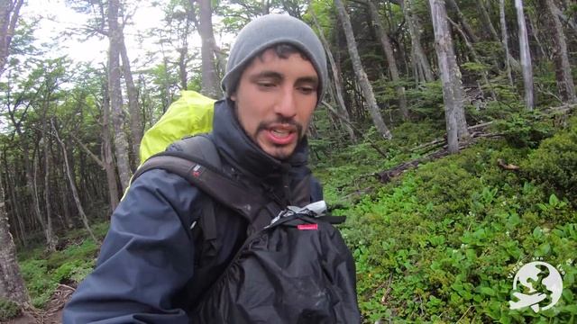 Torres del Paine | Guía Circuitos de Trekking W y O смотреть онлайн