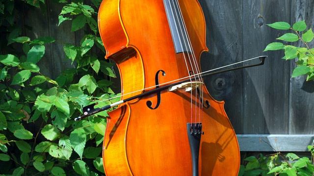 Johann Sebastian Bach - Cello Suite no.1 - Prelude in G - BWV 1007 - Meditation, Beauty and Serenit смотреть онлайн
