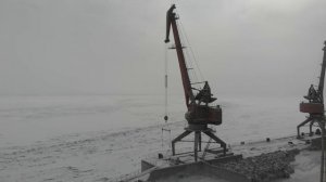 Мохсоголох