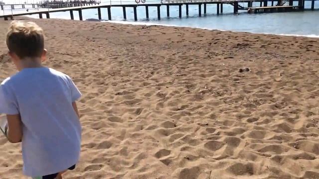 Barut Lara hotel место кладки яиц черепах на пляже - отдых в Турции смотреть онлайн