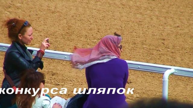 ЦМИ.Ипподром.Скачки Радио Монте Карло 1."Крутой Катала" смотреть онлайн