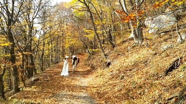 Video fotosessiya s loshad'mi v YAlte Krasnyj kon' 10 18 смотреть онлайн