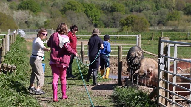 Magdalen Farm Schools Video смотреть онлайн