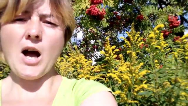 Золотарник смотреть онлайн