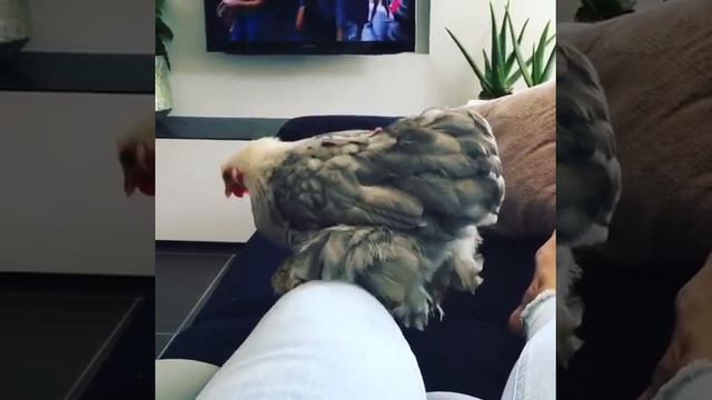 Tok it to next level! смотреть онлайн