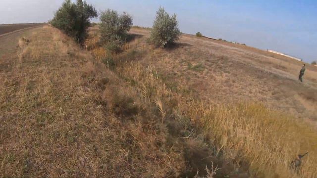 ОХОТА на ФАЗАНА Выход 2 ч.2. Охота 2021!! смотреть онлайн