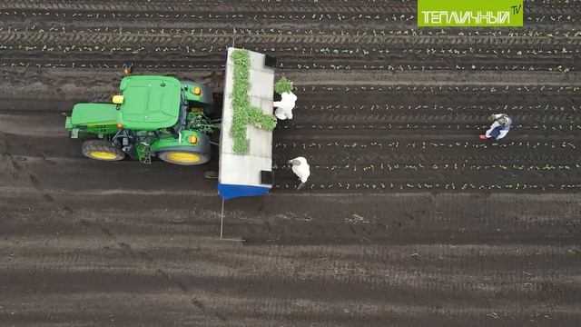 Посевная в Совхозе «Тепличный» смотреть онлайн