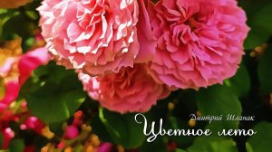 Цветное лето