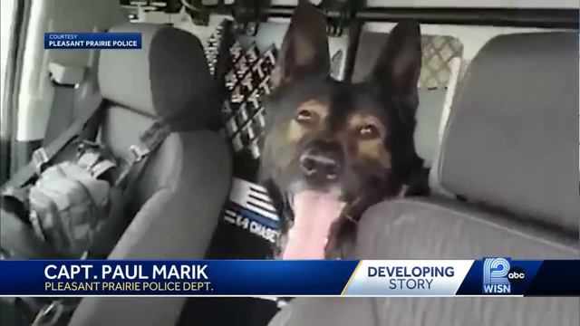 Pleasant Prairie K9 officer in the doghouse смотреть онлайн