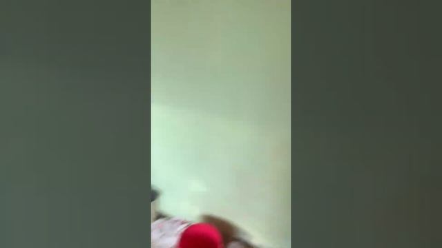 Коммунистический 73 Горно-Алтайск смотреть онлайн