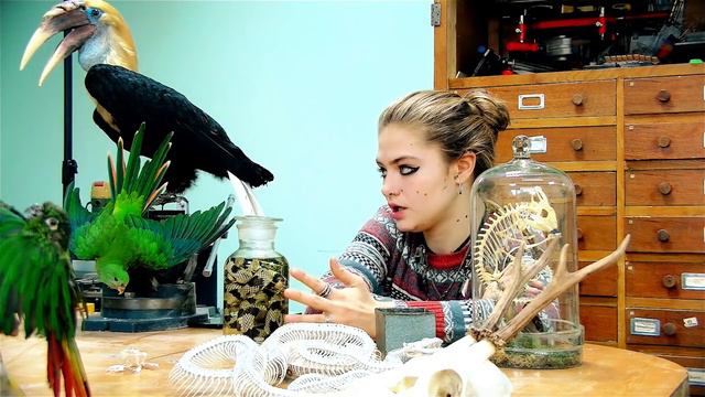 ЭКСПРЕССИВНАЯ МАРГО О ЗАКОНАХ И БЕДНЫХ ЖИВОТНЫХ