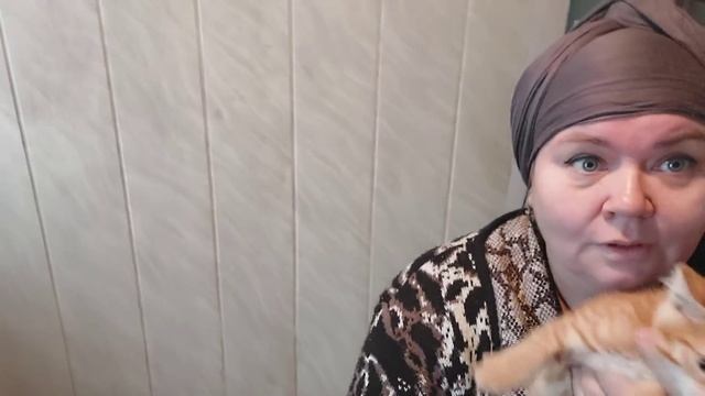 Забрали первого рыжика... Срочно ищу хозяина для немецкой овчарки смотреть онлайн