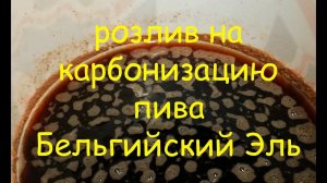 Разливаем на карбонизацию пиво «Бельгийский Эль»