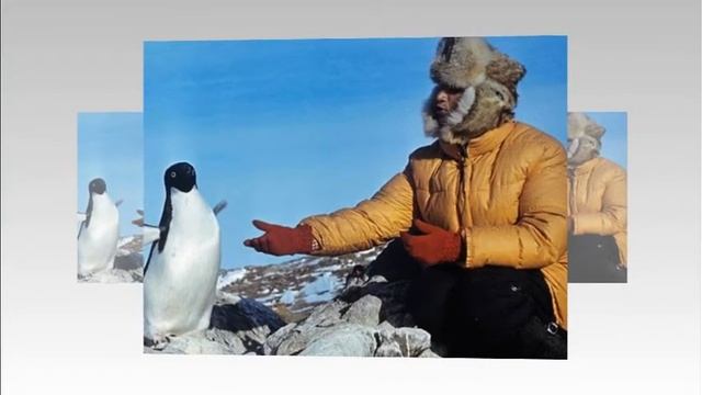 Для чего нужно переворачивать ПИНГВИНОВ...!!! смотреть онлайн