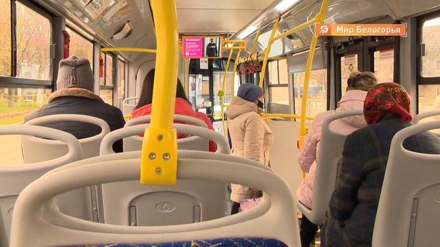 Бесплатные автобусы в 6-ю поликлинику Белгорода смотреть онлайн