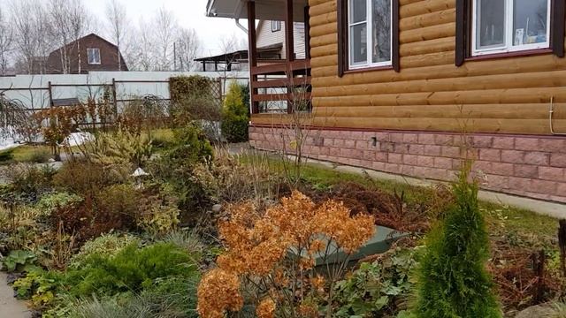 Сад в ноябре: особенности поздней посадки растений. смотреть онлайн