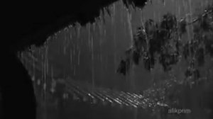 жамгыр токту