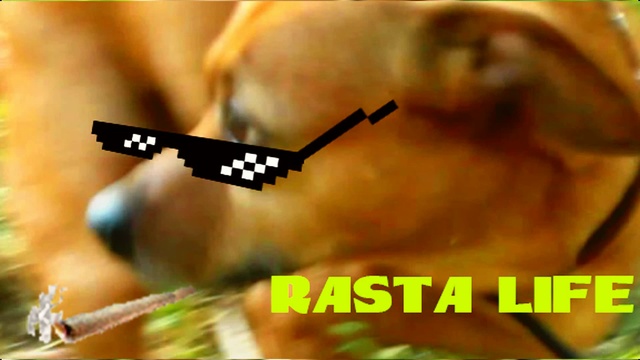 Falseangel - Жизнь Говно