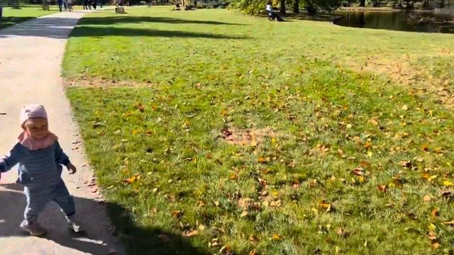 Люблю Прагу за заботу о людях!? смотреть онлайн