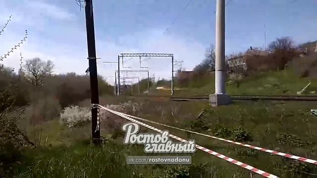 От змей спасла сотрудников железнодорожной станции девушка в Ростовской области смотреть онлайн