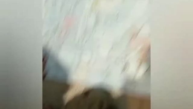 На ужин тушёная картошка/разукрашиваем картину/любовь кошек смотреть онлайн