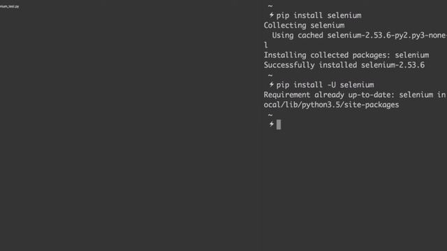 How to Install Selenium WebDriver in Python смотреть онлайн