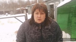Синусит у индюков.