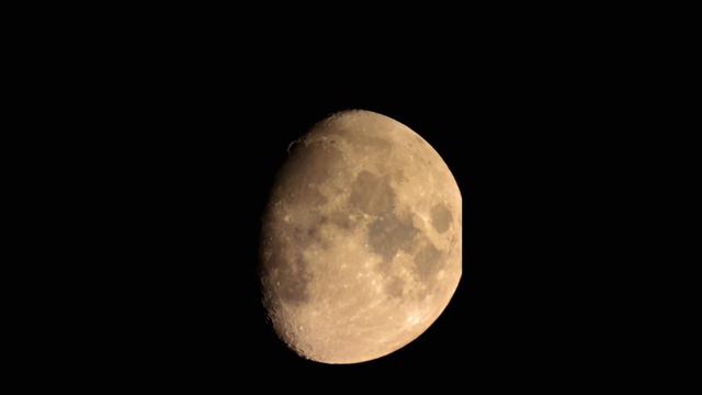 Осень.Листопад.Луна сквозь дерева смотреть онлайн