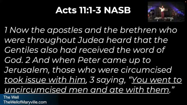 Night in the Word July 14, 2022 смотреть онлайн