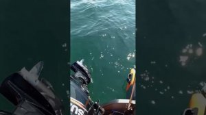 Отзыв о лодке Skat 450fi сезон 2023 Братск