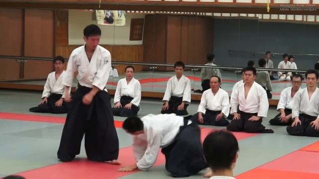Aikido - Softness and Instantaneous force SHIRAKAWA RYUJI shihan смотреть онлайн
